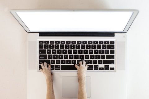 business-dog-paws-on-keyboard